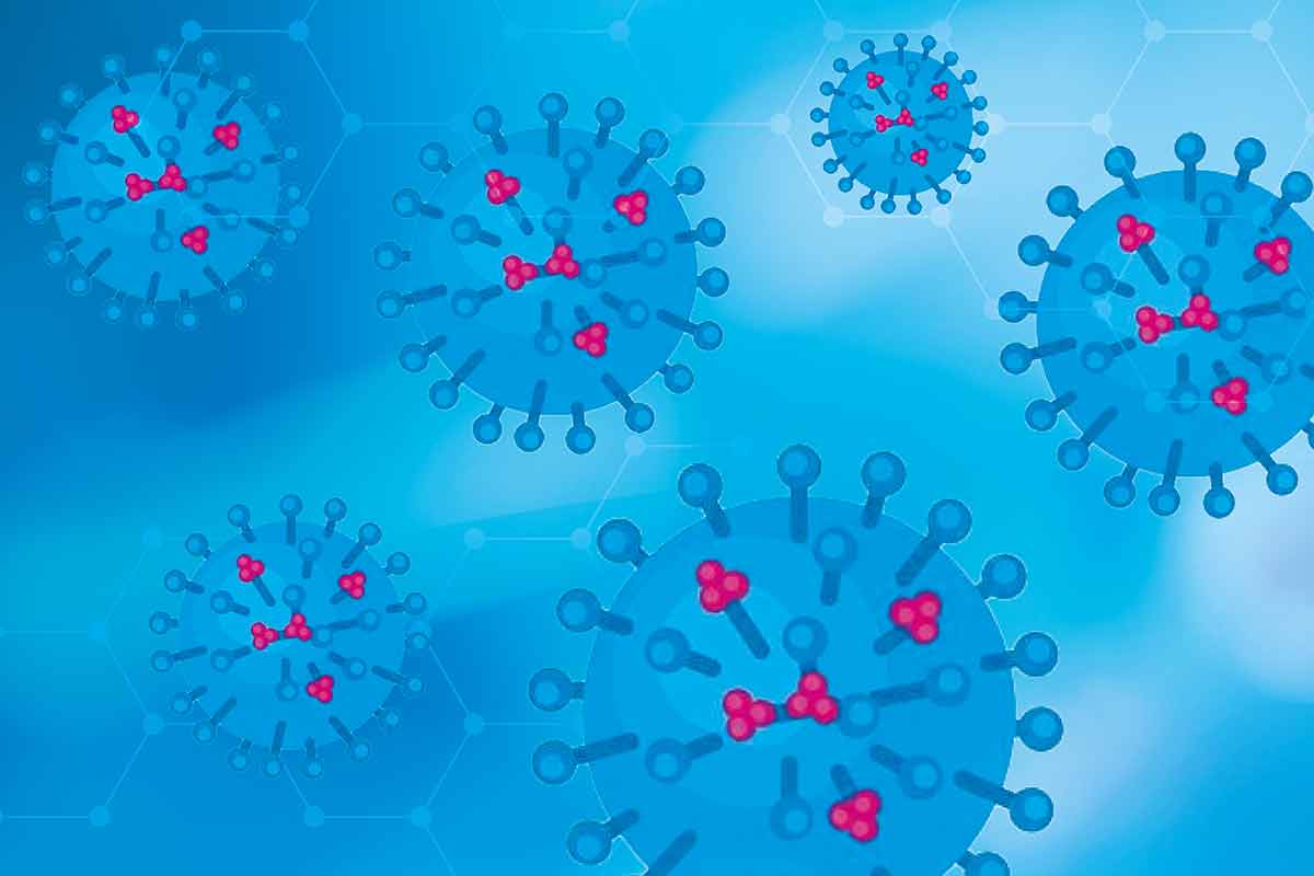 Antibodies development against Flu